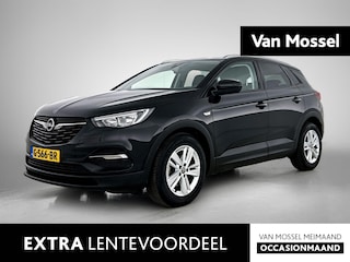 Opel Grandland X 1.2 Turbo Business + | 130pk | Navigatie | Camera |