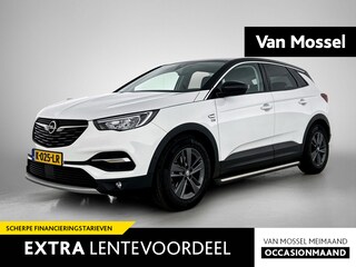 Opel Grandland X 1.2 Turbo Edition 2020 | Panodak | Camera | Apple Carplay/Android Auto | Cruise
