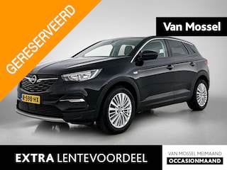 Opel Grandland X 1.2 Turbo Business Executive | Camera | Trekhaak | Apple Carplay/Android Auto |