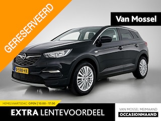 Opel Grandland X 1.2 Turbo Business Executive | Camera | Trekhaak | Apple Carplay/Android Auto |