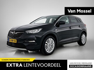 Opel Grandland X 1.2 Turbo Business Executive | Camera | Trekhaak | Apple Carplay/Android Auto |