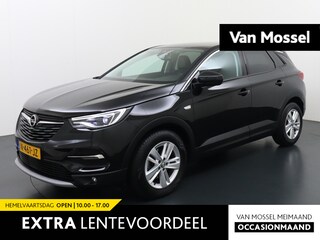 Opel Grandland X 1.2 Turbo Business Elegance | Navigatie | Parkeer camera