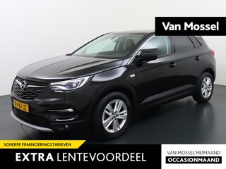 Opel Grandland X 1.2 Turbo Business Elegance | Navigatie | Parkeer camera