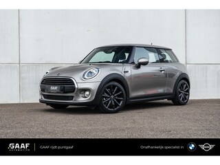 Mini Mini 1.5 One Chili Business