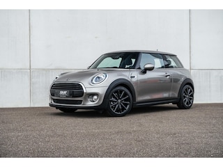 Mini Mini 1.5 One Chili Business
