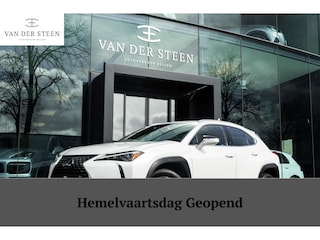 Lexus UX 250h Business Line | Groot Scherm | Camera