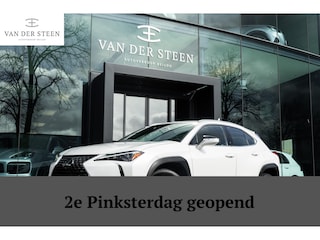 Lexus UX 250h Business Line | Groot Scherm | Camera
