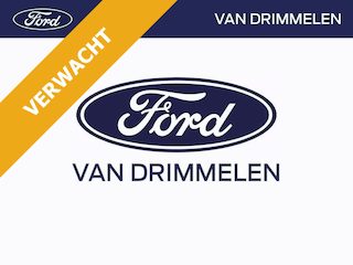 Ford Transit GB 310 L2H2 TDCi 130pk FWD Trend | Dealer onderhouden