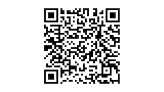 Seat Ibiza 1.0 EcoTSI Style / Clima / CarPlay / NL Auto