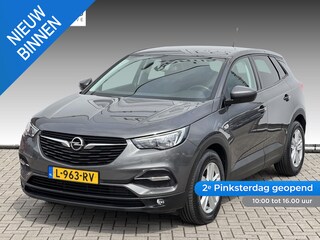 Opel Grandland X 1.2 Turbo Business Edition TREKHAAK | WINTER PACK| CARPLAY NAVI