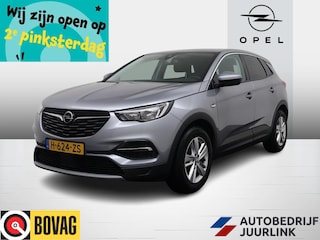 Opel Grandland X 1.2 Turbo Automaat Nav/Camera/Led/Pdc/AGR