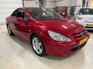 Peugeot 307 2.0-16V XS PACK / Leder / Cruise / Afn.Haak / Climat / Pdc / NAP
