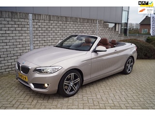 BMW 2-serie Cabrio 220i High Executive Luxury Autom Leder Sportst Stoelverw Navi Clima Xenon Cruise 2x PDC LMV ENZ NL Auto.