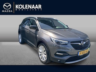 Opel Grandland X 1.2 Turbo Navi/Trekhaak/Camera achter/Nieuwstaat