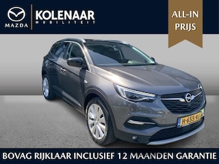 Opel Grandland X 1.2 Turbo Navi/Trekhaak/Camera achter/Nieuwstaat