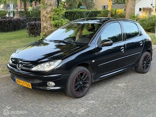Peugeot 206 1.4 X-line 5-drs Clima Elektrisc Ramen& Spiegels