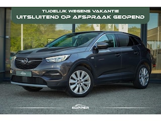 Opel Grandland X 1.2 Turbo Business Executive / Leder / Trekhaak / Stoelverwarming+ventilatie / Riem Vervangen