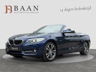 BMW 2-serie Cabrio 228i|Stoel/Stuurverw.|H/K Audio|Memory|Keyless
