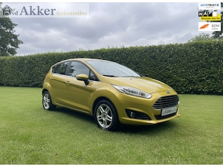 Ford Fiesta 1.0 EcoBoost Titanium I 1ste eig I Dealer ond I APK t/m 06/27 I Distributie vv I Zeer netjes!