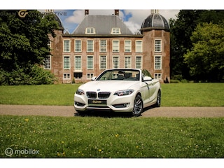 BMW 2-serie Cabrio 218i