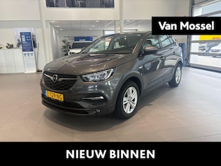 Opel Grandland X 1.2 Turbo Edition TREKHAAK | CAMERA | AUTOMAAT CRUISE CONTROL | AUTOMAAT