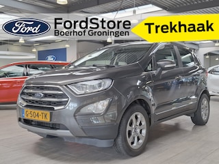 Ford Ecosport EcoBoost 125pk Titanium | Trekhaak | Winterpack | Camera | Dodehoek detectie | Cruise | 1/2 leer | Apple carplay | All-season banden |