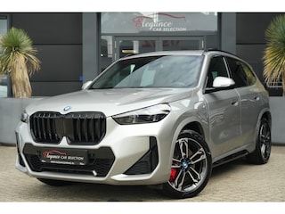 BMW X1 xDrive25e M Sport 245pk Panoramadak/Navigatie/Camera