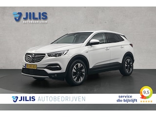 Opel Grandland X 1.2 Turbo Elegance | Camera | Half lederen bekleding | LED