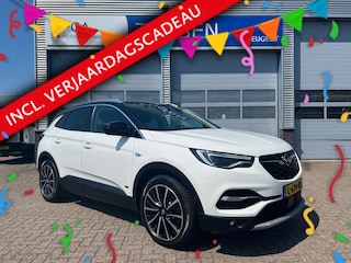 Opel Grandland X 1.6 Turbo Hybrid4 300PK Business Executive | Stuurverwarming | Navigatie | Achteruitrijcamera | Trekhaak |