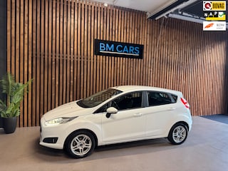 Ford Fiesta 1.0 EcoBoost Titanium Clima,Cruise,Led,Navi,Pdc