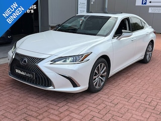 Lexus ES 300h Business Line Netjes Dakraam Onderhouden