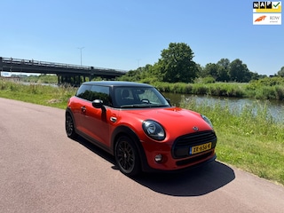 Mini Mini 1.5 First Salt |Dealer Onderh.|Navi|Luxe|