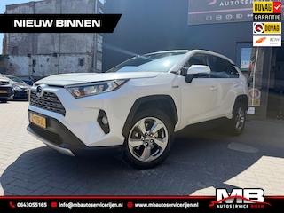 Toyota RAV4 2.5 Hybrid Business Plus