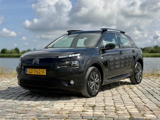 Citroën C4 Cactus 1.6 BlueHDi Business|Camera|D-Riem Vervangen