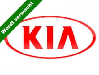 Kia Niro e-Niro DynamicLine 39 kWh NL-auto / LMV / 1e Eigenaar / SOH 100%