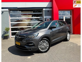 Opel Grandland X 1.2 Turbo Business Edition