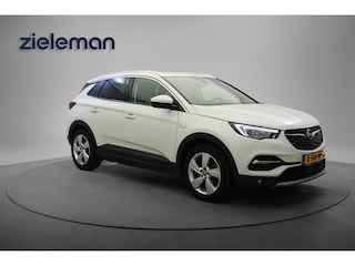 Opel Grandland X 1.6 Turbo Hybrid Business Edition - Camera, Carplay, Trekhaak