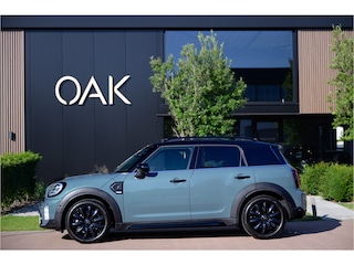 Mini Countryman 2.0 Cooper S ALL4 | Navi | Panorama | Leder | ACC | Camera | 18"LM | Sage Green