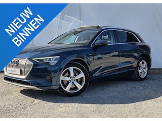 Audi e-Tron 50 quattro Launch edition plus 71 kWh // proefrit mogelijk