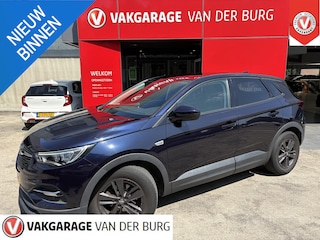 Opel Grandland X 1.2 Turbo 120 Jaar Edition Trehaak, Rijklaar