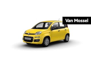 Fiat Panda 1.0 Icon | PDC | Airco | Radio | 5'' Infotainment | DAB | Cruise Control | Tot 8 jaar speciale garanite!