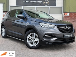 Opel Grandland X 1.2 Turbo Executive/STOELV/STUURV/TREKH/APK
