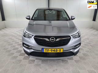 Opel Grandland X 1.2 Turbo Business Executive, Carplay, Trekhaak