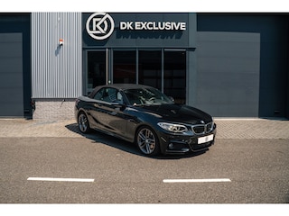 BMW 2-serie Cabrio 220i Centennial High Executive