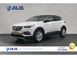 Opel Grandland X 1.2 Turbo Elegance | Camera | Half leder | Navigatie | Cruise control