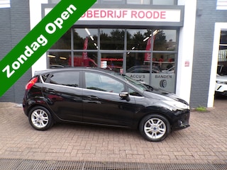 Ford Fiesta 1.0 5-Drs EcoBoost Black Titanium VEEL EXTRA'S,GOED ONDERHOUDEN!