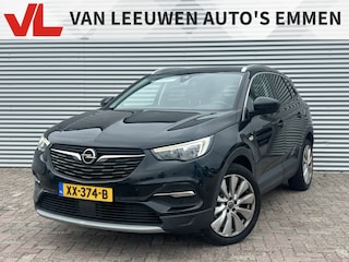 Opel Grandland X 1.2 Turbo Business Executive | Nieuw Binnen | Winter-Pack | Navigatie | APK 11-04-2027