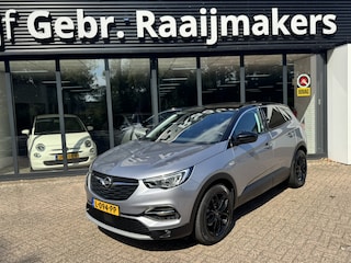 Opel Grandland X 1.2 Turbo Business Executive*Navigatie*Winterpakket*