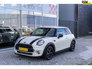 Mini Mini 3-Deurs 1.2 Salt