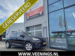 Opel Grandland X 1.2 Turbo Business Executive - TREKHAAK - CARPLAY / ANDROID - NAVI - CLIMA - CRUISE - STOELVERW / STUURVERW -